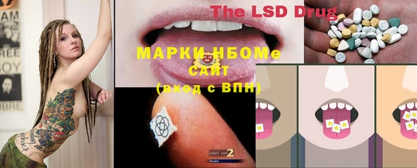 амф Болхов