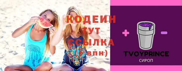 индика Кинешма