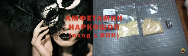 индика Кинешма