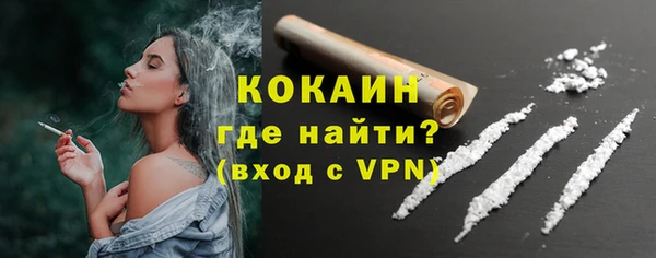 индика Кинешма