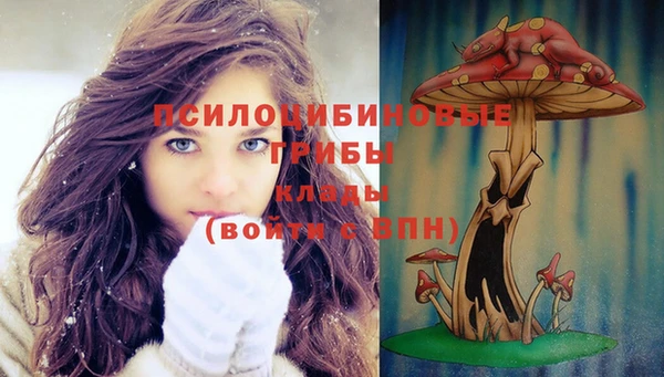 индика Кинешма