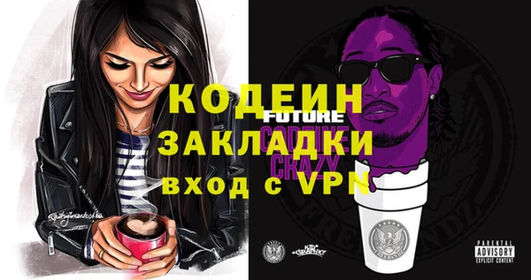 индика Кинешма