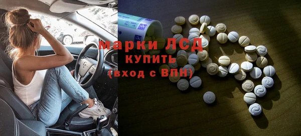 индика Кинешма